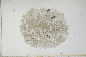 Plane Polarized, S14034
