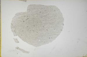 Plane Polarized, S14052