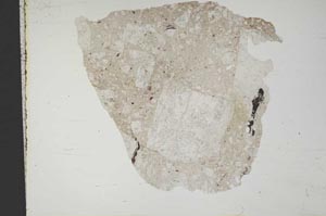 Plane Polarized, S14076