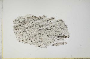 Plane Polarized, S14092