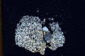 Cross Polarized, S14095