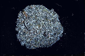 Cross Polarized, S14098