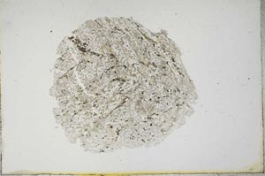 Plane Polarized, S14098