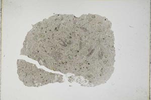 Plane Polarized, S14103