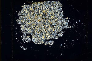 Cross Polarized, S14118