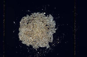 Cross Polarized, S14121