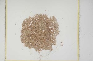 Plane Polarized, S14121