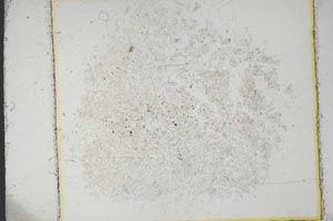 Plane Polarized, S14123