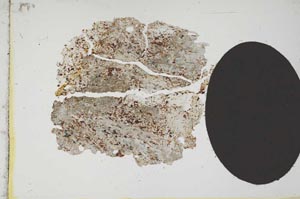 Plane Polarized, S14125