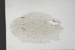 Plane Polarized, S14150