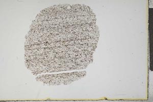 Plane Polarized, S14155