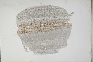 Plane Polarized, S14156