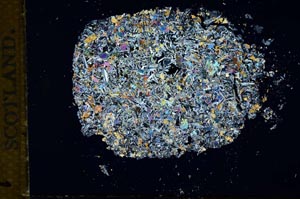 Cross Polarized, S14170