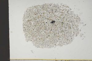 Plane Polarized, S14170