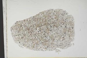 Plane Polarized, S14171