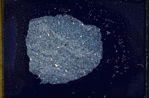 Cross Polarized, S14192