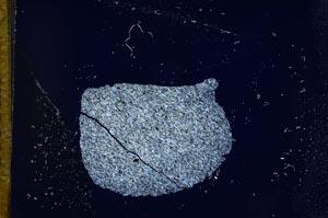 Cross Polarized, S14196