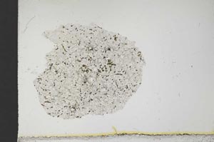 Plane Polarized, S14197