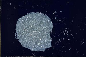 Cross Polarized, S14201