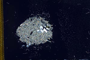 Cross Polarized, S14211