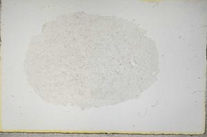Plane Polarized, S14232