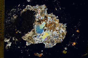 Cross Polarized, S14234