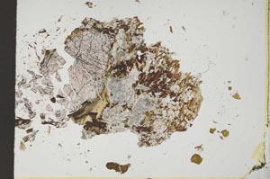 Plane Polarized, S14234