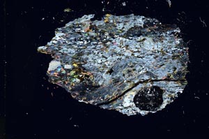 Cross Polarized, S14235