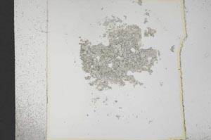 Plane Polarized, S14236