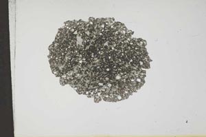 Plane Polarized, S14251