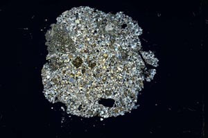 Cross Polarized, S14253