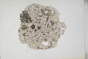 Plane Polarized, S14253