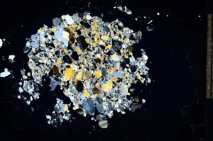 Cross Polarized, S14261