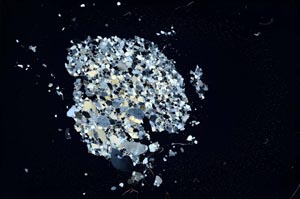 Cross Polarized, S14262