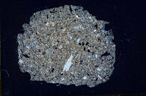 Cross Polarized, S14269