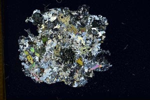 Cross Polarized, S14270