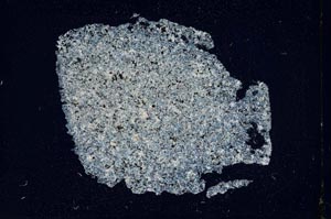 Cross Polarized, S14271