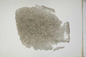 Plane Polarized, S14271