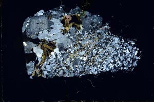 Cross Polarized, S14285