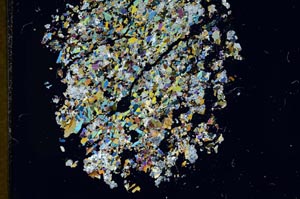 Cross Polarized, S14286