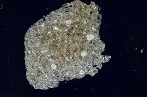 Cross Polarized, S14301