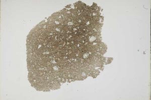 Plane Polarized, S14301