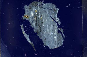 Cross Polarized, S14321