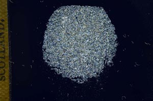 Cross Polarized, S14355