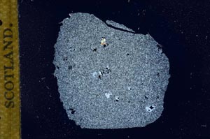 Cross Polarized, S14365