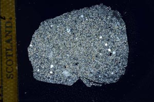 Cross Polarized, S14374