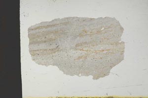 Plane Polarized, S14433