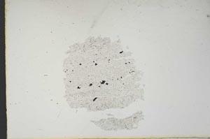 Plane Polarized, S14434