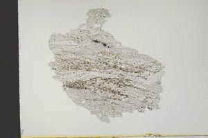 Plane Polarized, S14435