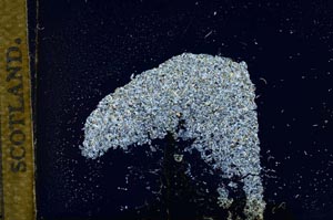 Cross Polarized, S14443